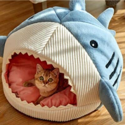 chat roux dans sa niche pour chat en forme de roquin bleu