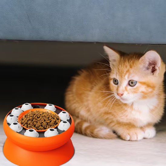 Gamelle pour chat | SlowDigest