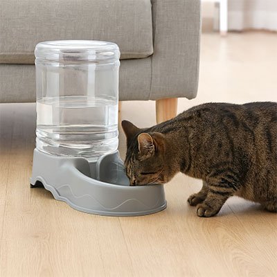 distributeur de croquettes pour chat distributeur d eau 