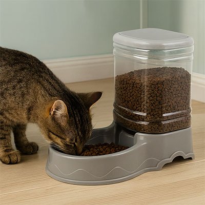 chat mange distributeur de croquettes pour chat