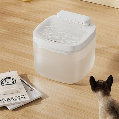 fontaine a eau chat forme cube moderne