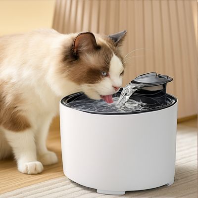 Fontaine-a-eau-chat-blanche