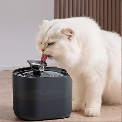 Fontaine-a-eau-chat-noir-
