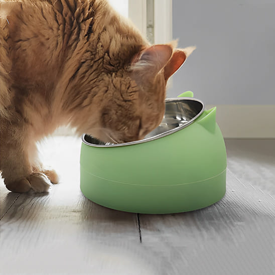 chat roux mange dans gamelle pour chat vert 