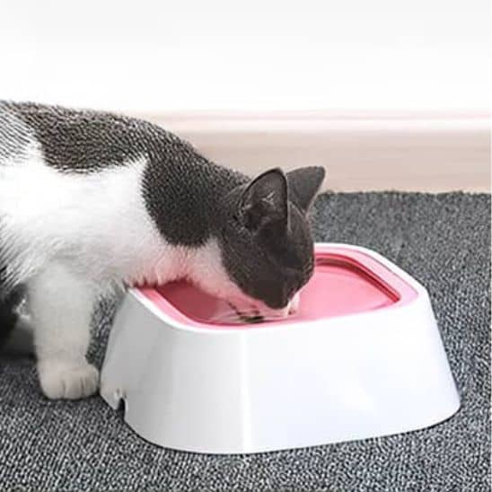 Gamelle_chat_rose-chat-boit