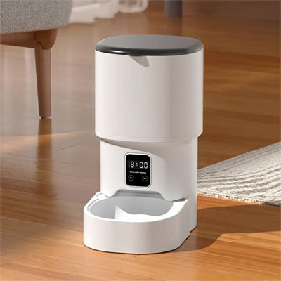 Meilleur_distributeur_automatique_de_croquettes_pour_chat-blanc