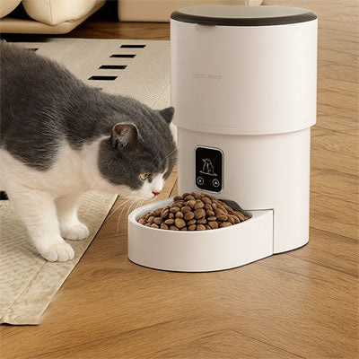 Meilleur_distributeur_automatique_de_croquettes_pour_chat_char-gris-blanc-mange
