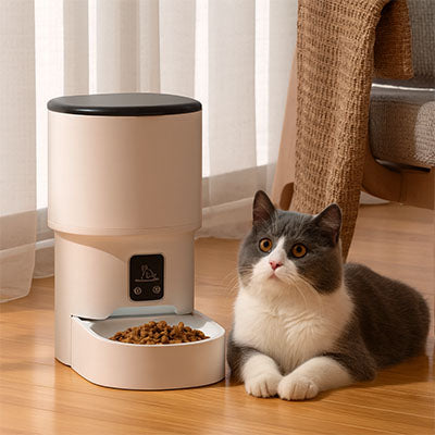 Meilleur_distributeur_automatique_de_croquettes_pour_chat_ slon-chat-assied