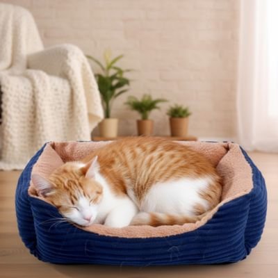 Chat-panier-bleu-
