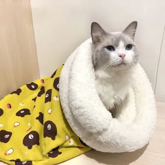 chat-panier-doux-petit-havre-de-paix 