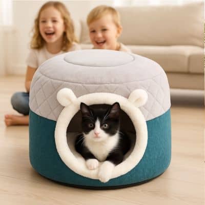 chaton-dans-sa-niche-chat-multifonction-enfants-jouent-arriere-plan