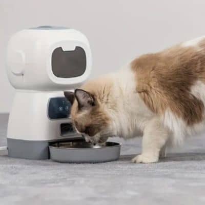 distributeur automatique croquettes chat gamelle en inox