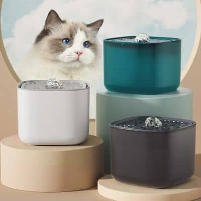 fontaine-a-eau-chat-3-variantes