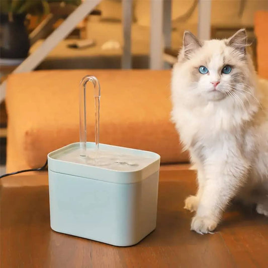 fontaine-a-eau-chat-filtre_blanche