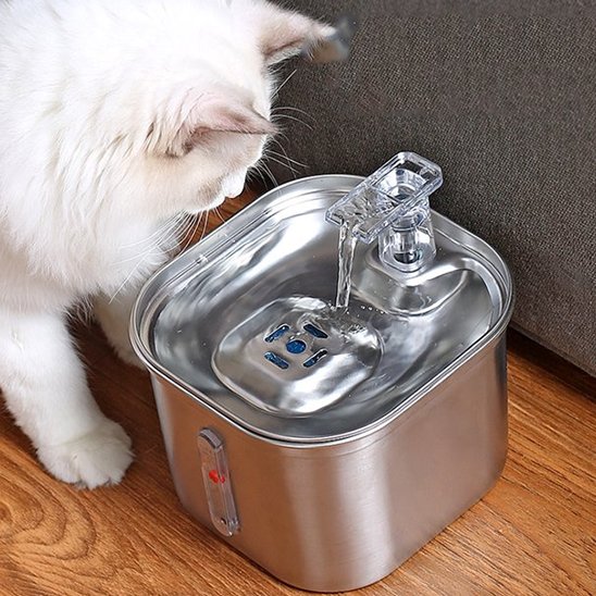 fontaine a eau chat inox