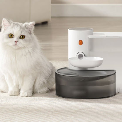 chat blanc assied a cote de sa fontaine a eau chat