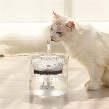fontaine-a-eau-chat-transparent
