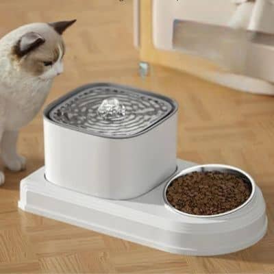fontaine-a-eau-pour-chat-gamelle