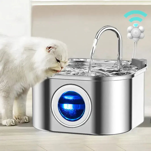 fontaine-a-eau-pour-chat-capteur