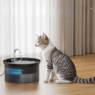 fontaine-a-eau-pour-chat-ronde