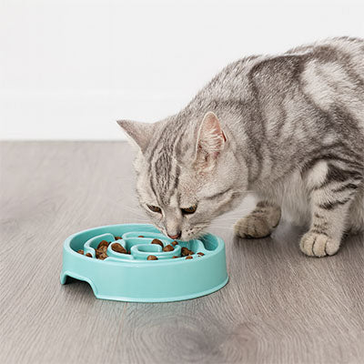 gamelle-anti-glouton-chat-bleu