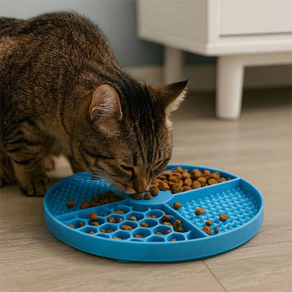 gamelle-anti-glouton-chat-bleu-