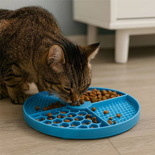 gamelle-anti-glouton-chat-bleu-