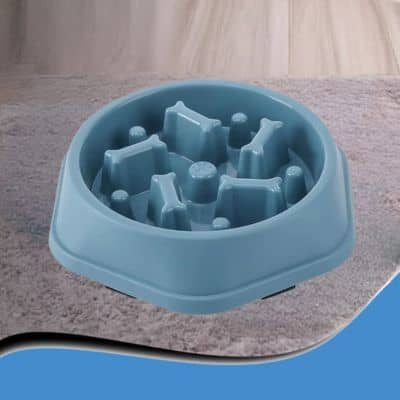 gamelle-anti-glouton-croquettes-bleu