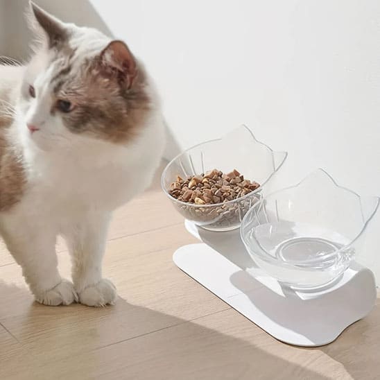 GAMELLE CHAT SURELEVEE | Dobbol™