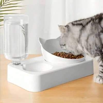 chat mange dans sa gamelle chat avec distributeur d'eau 