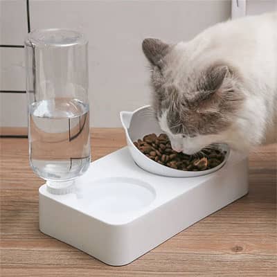 gamelle chat blanche avec distribueur d eau