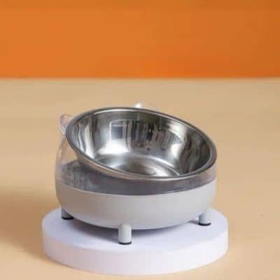 gamelle chat grise inclinee bol en inox