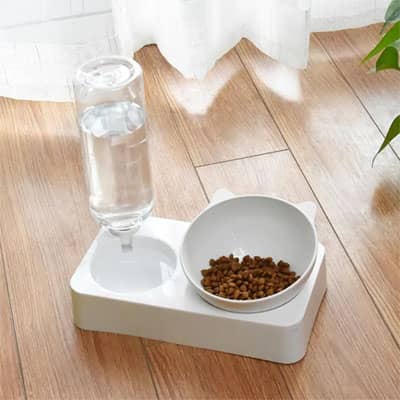 gamelle chat blanche inclinee avec croquettes