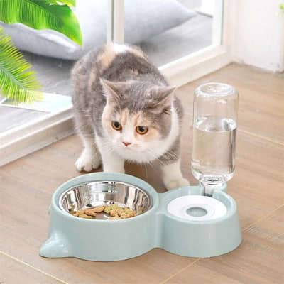 Gamelle chat | Pratibol™