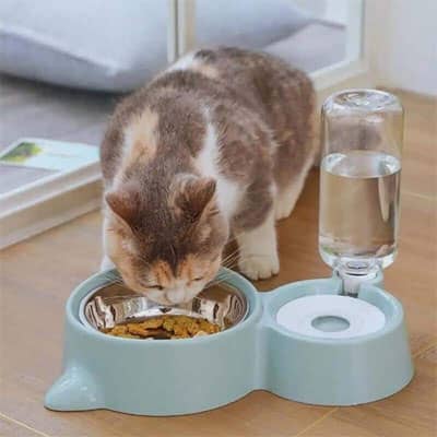Gamelle chat | Pratibol™