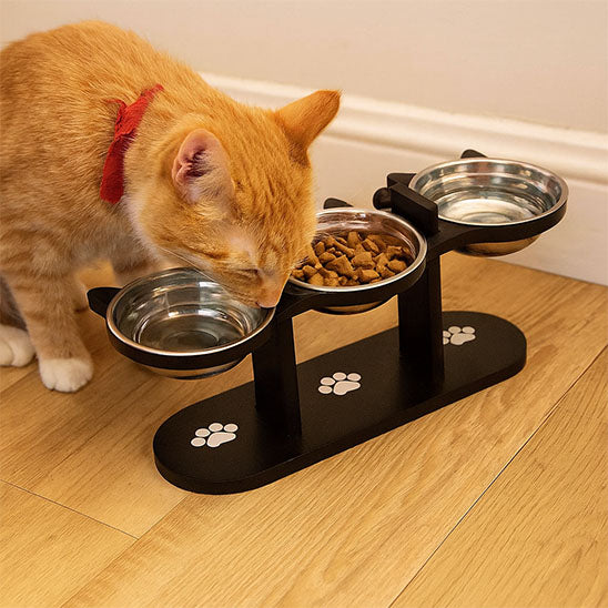gamelle chat surelevee noir chat roux boit