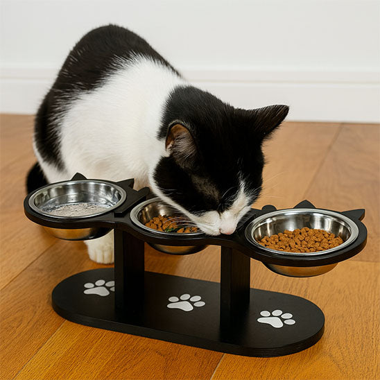 gamelle chat surelevee 3 bols