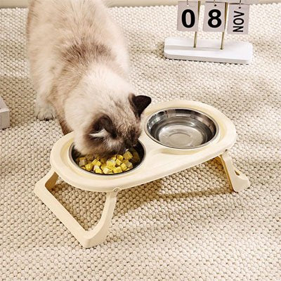chat mange dans sa gamelle chat surelevv-ee double bols couleur beige