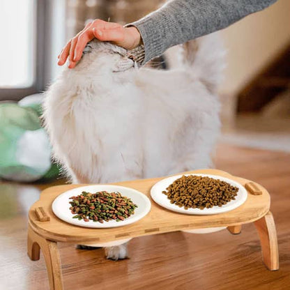 chat blanc caliné devant sa gamelle chat surelevee double bol ceramique
