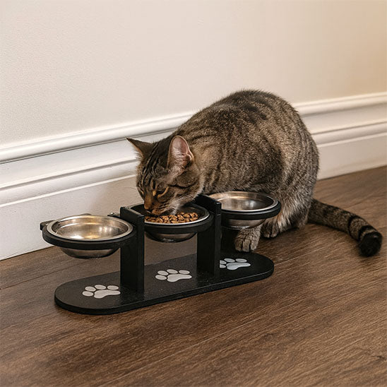 chat gris mange devant gamelle chat surelevee 