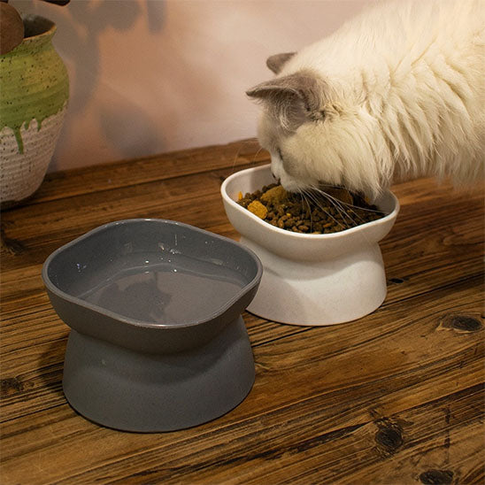 2 gamelles chat surelevee une avec eau l autre avec  croquettes