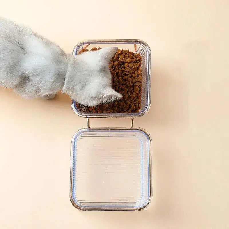 gamelle-chat-surélevée-contenant-transparent