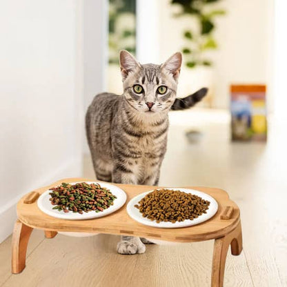 beau chat gris gamelle chat surelevee bol en ceramique