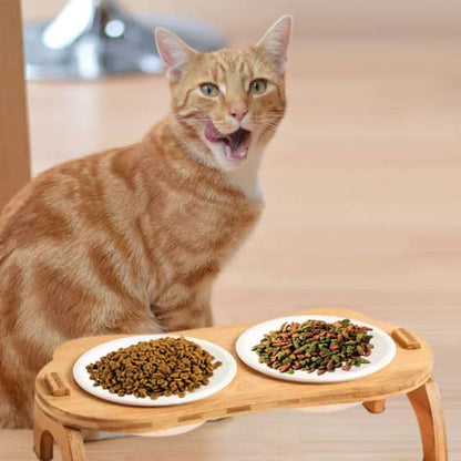 gamelle chat surelevee chat roux 