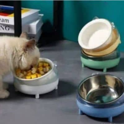 chat blanc mange croquettes dans sa gamelle chat blanche plusieurs couleur gamelle