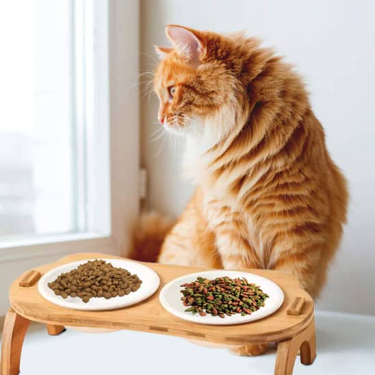 gamelle chat surelevee support en bois hic