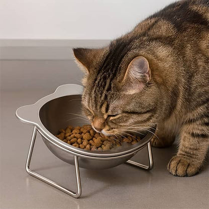 chat brun mange dans sa gamelle chat surelevee inox