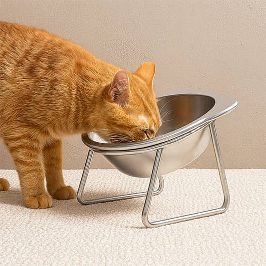 chat roux mange dans sa gamelle chat surelevee inox