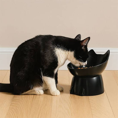 chat noir mange dans gamelle surelevee couleur noir