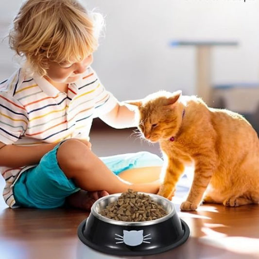 enfant caresse chat roux devant sa gamelle pour chat noir